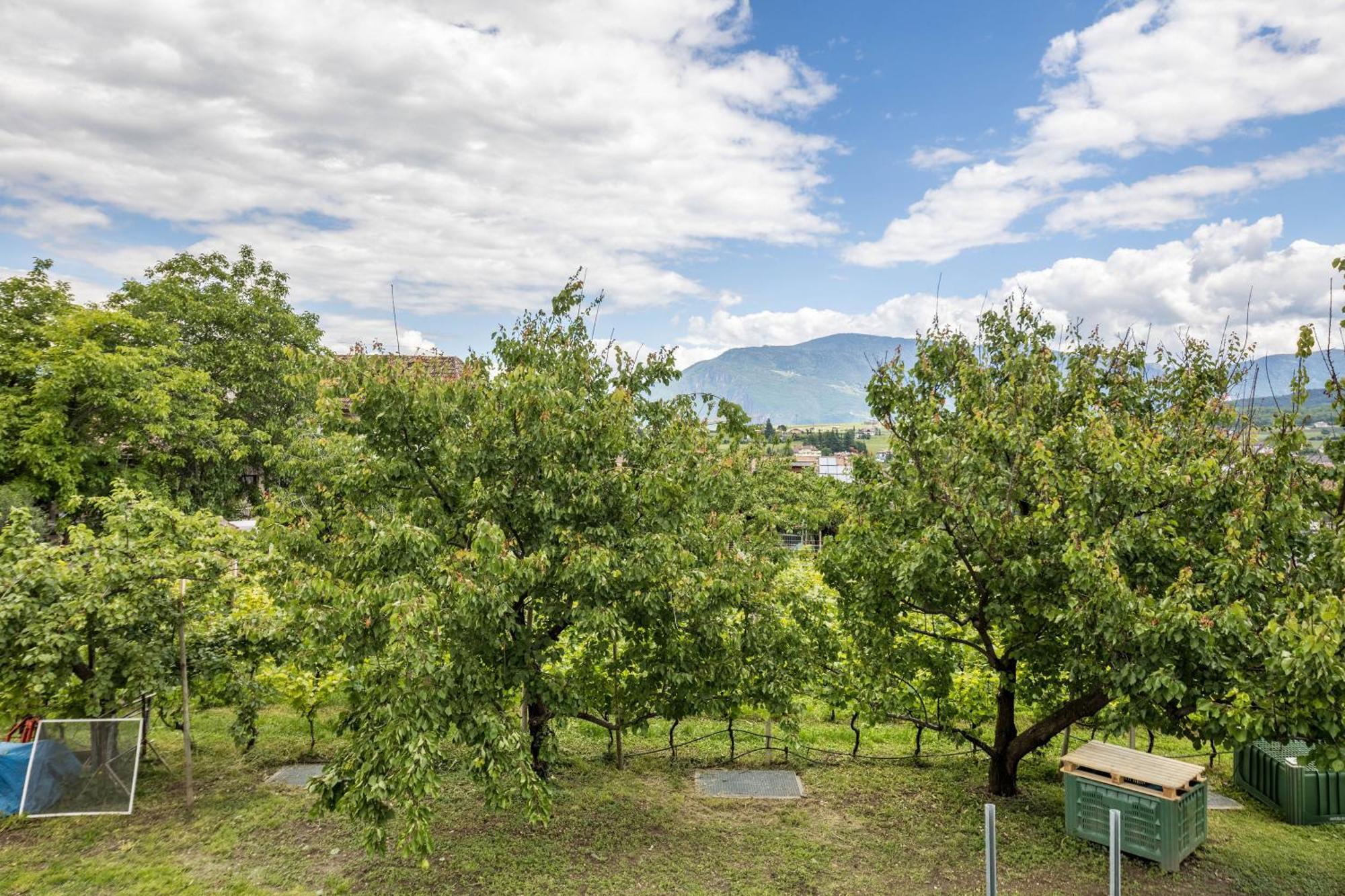 Angerblick Apartment Appiano Sulla Strada Del Vino Exteriér fotografie