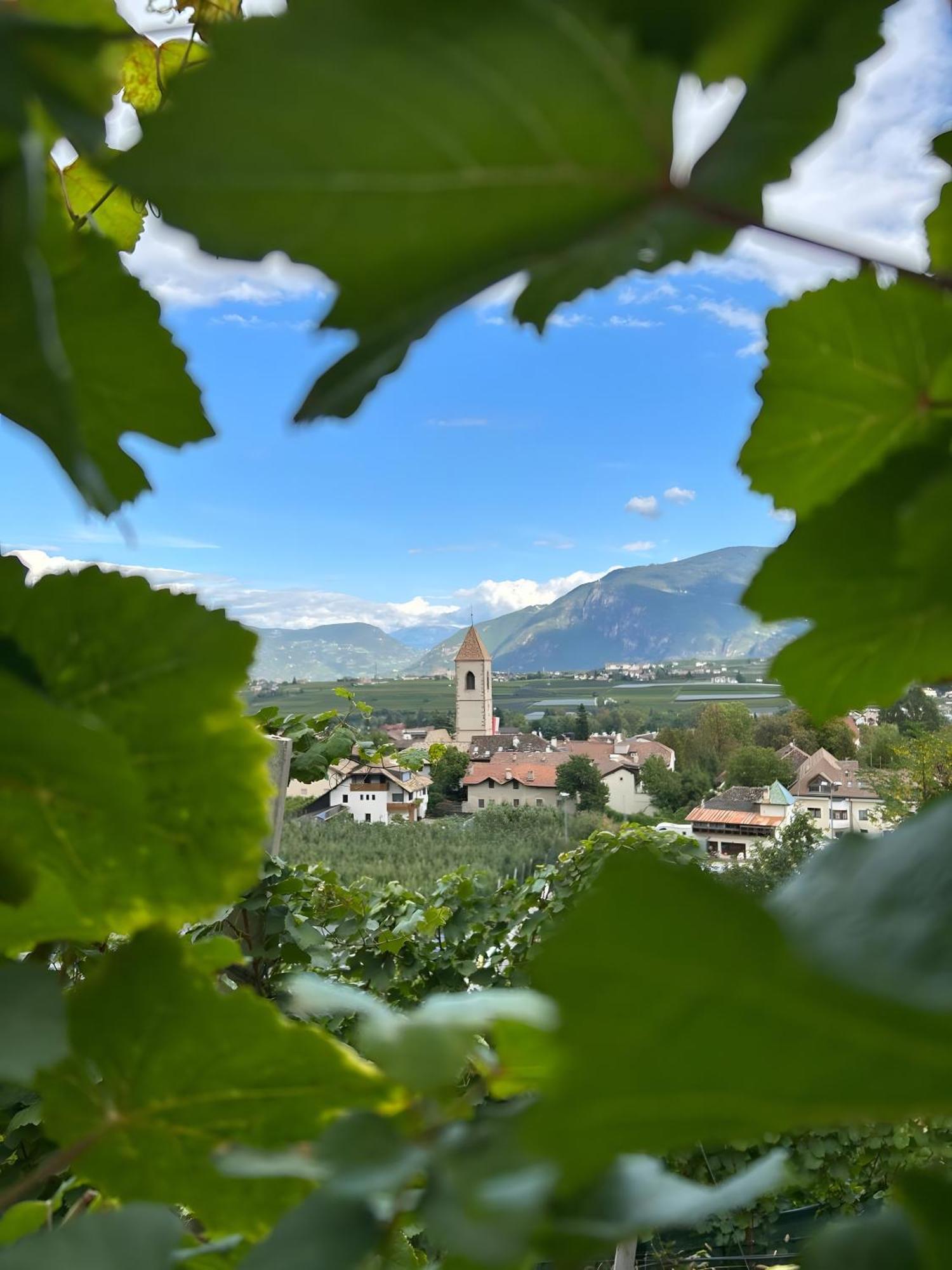 Angerblick Apartment Appiano Sulla Strada Del Vino Exteriér fotografie